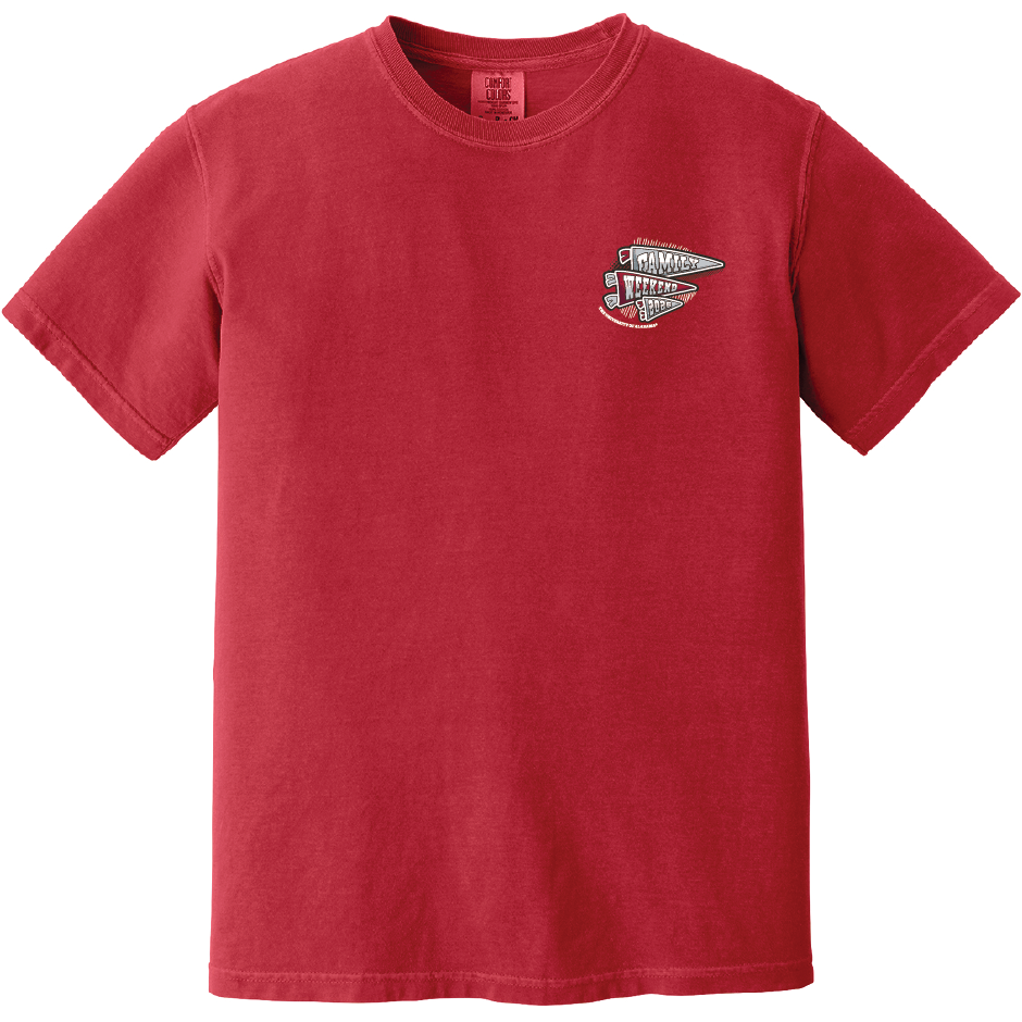 COMFORT COLORS Heavyweight Ring Spun Tee